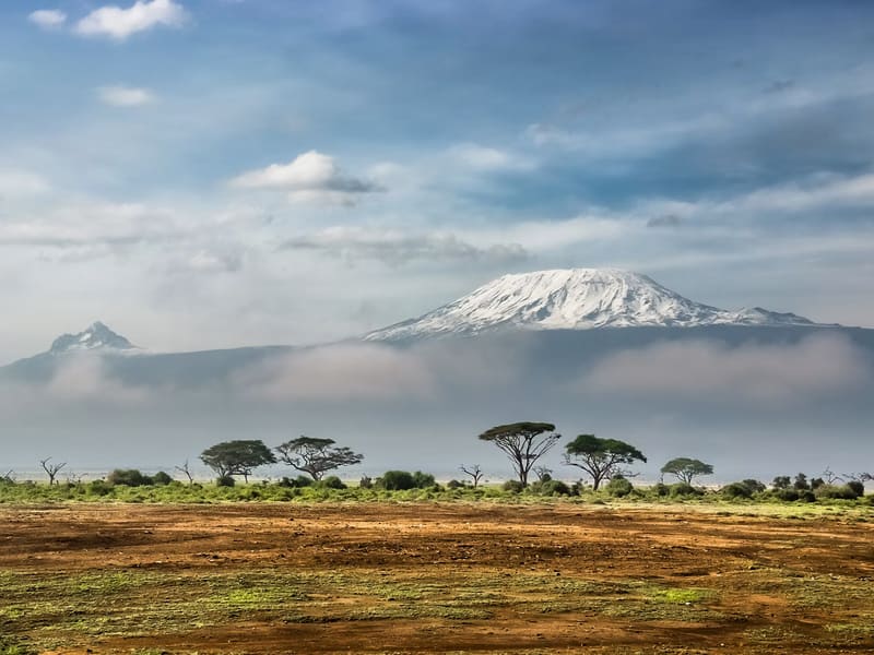The snow-capped peak of Kilimanjaro rising above a band of cloud, with flat-topped acacia trees on the plain below.